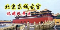 操的骚逼爽不爽中国北京-东城古宫旅游风景区